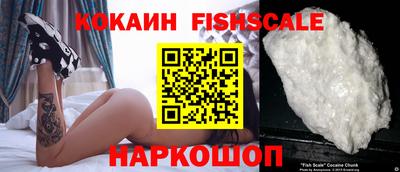 шишки Коммунар
