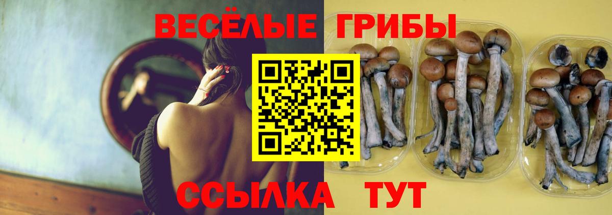 где купить наркоту  Галлюциногенные грибы ЛСД  Вход с VPN  Псилоцибиновые грибы ЛСД  Кизилюрт 